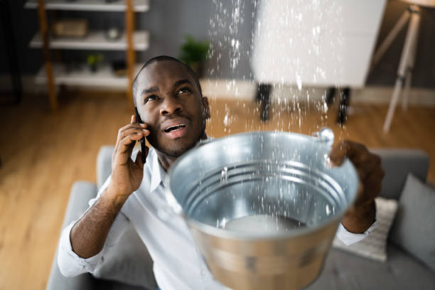 Best 24/7 water damage repair  in Spotswood, NJ