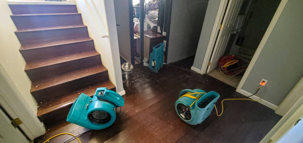 Reliable Spotswood, NJ Water damage restoration Solutions