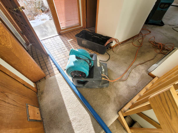 Best 24-hour water damage restoration  in Spotswood, NJ