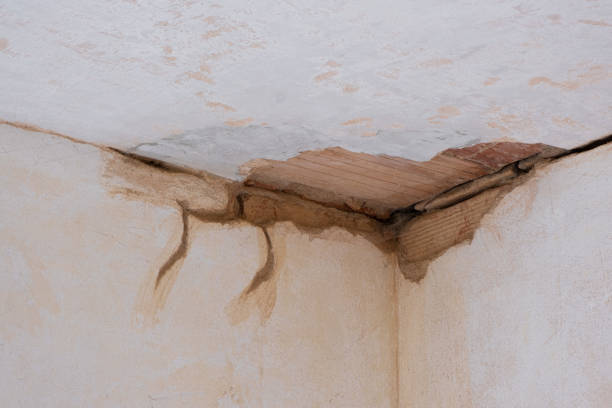 Best Water damage restoration near me  in Spotswood, NJ