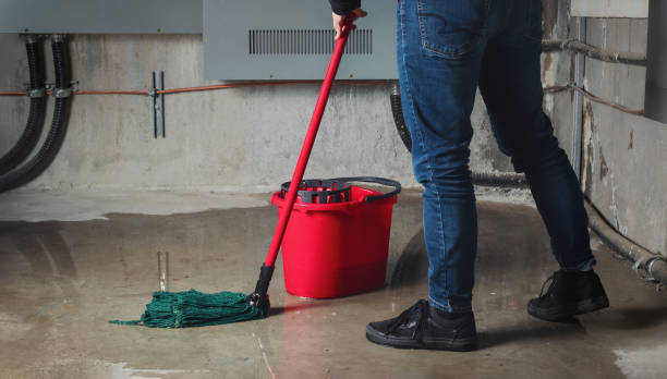  Spotswood, NJ Water damage restoration Pros