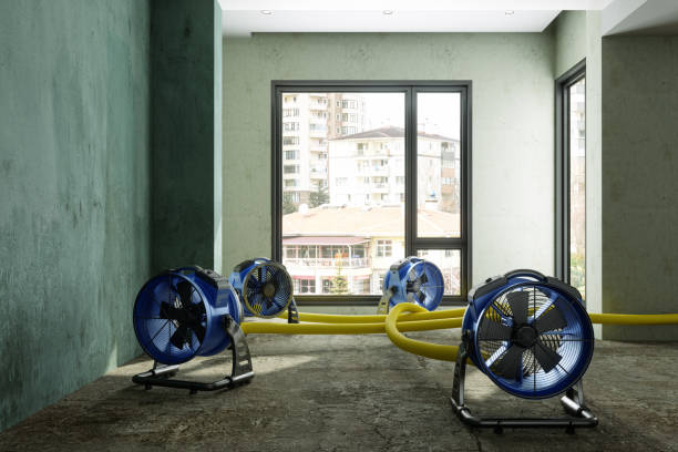 Trusted Spotswood, NJ Water damage restoration Experts