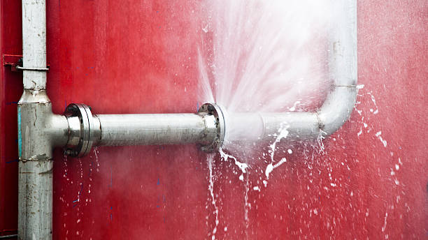 Best Mold removal after water damage  in Spotswood, NJ